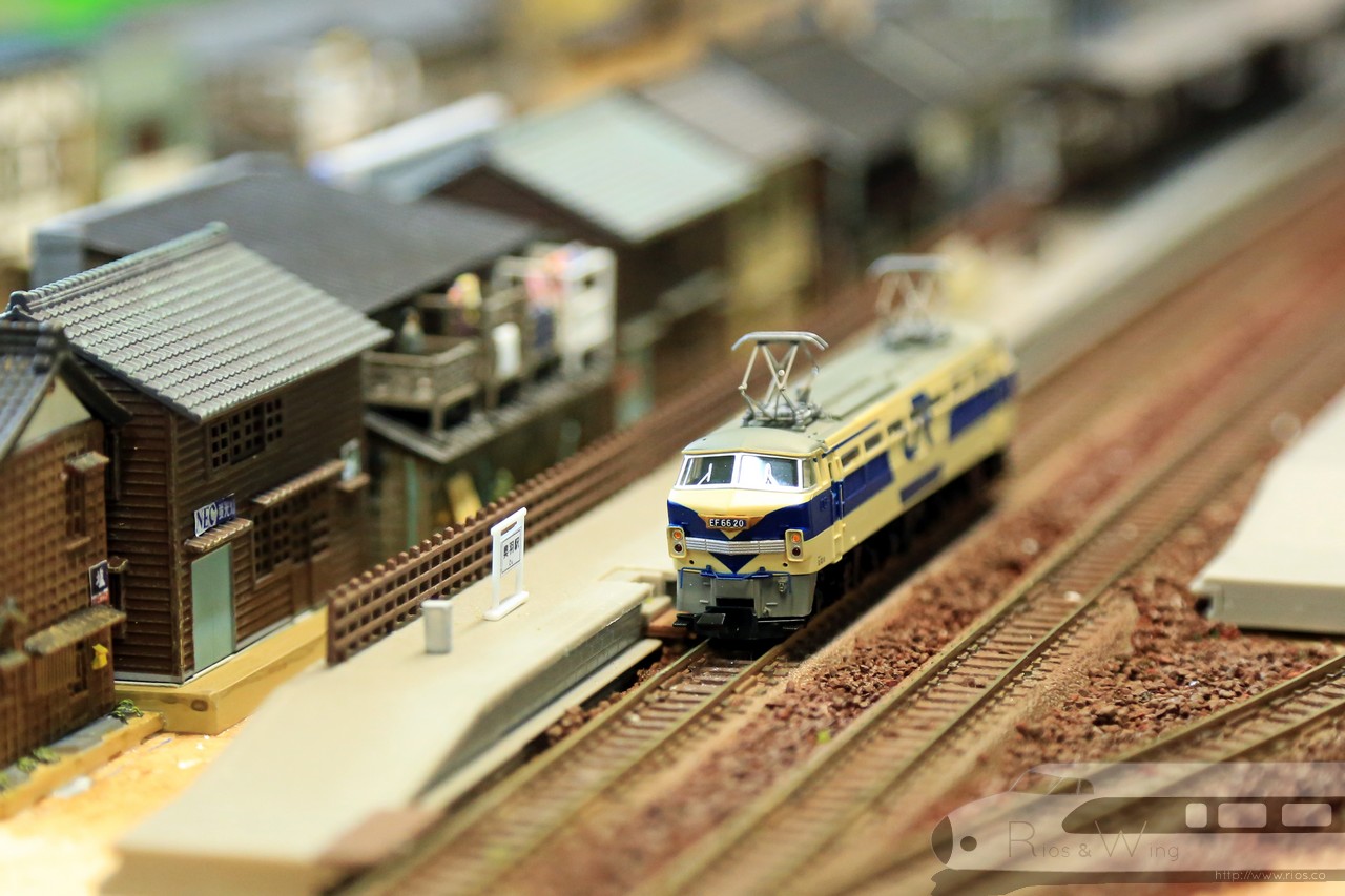 Tomix JR EF66形電気機関車(20号機・JR貨物試験色) - Diocolle