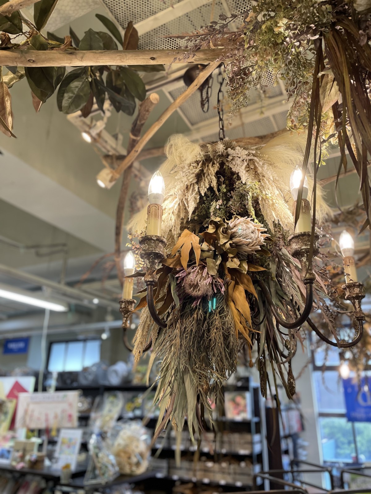 ドライフラワーのシャンデリア｜横浜ディスプレイミュージアム