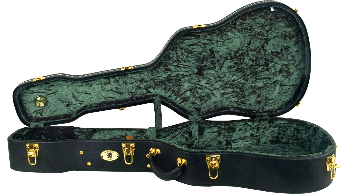 The Loar LH-700-VS - DjangoBooks.com