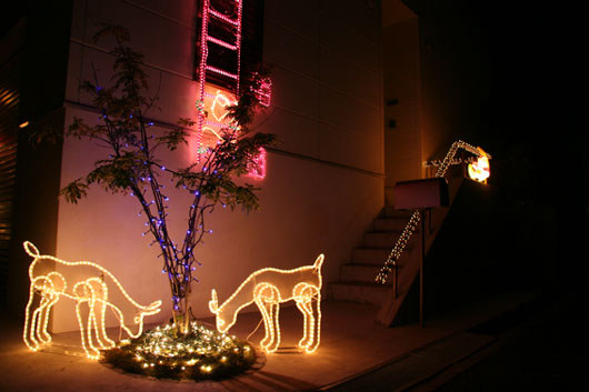 イルミネーションギャラリー【ドリームチャンネル】