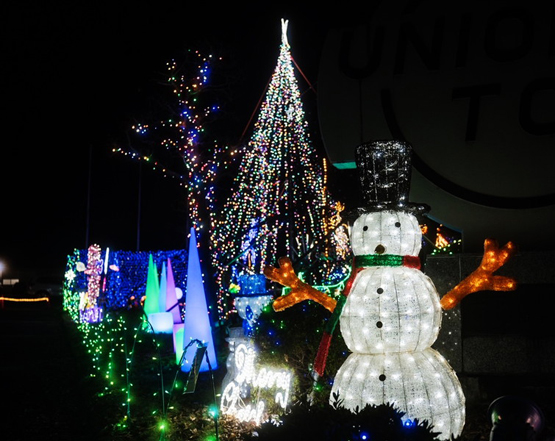 クリーミーライト|イルミネーション販売のドリームチャンネル