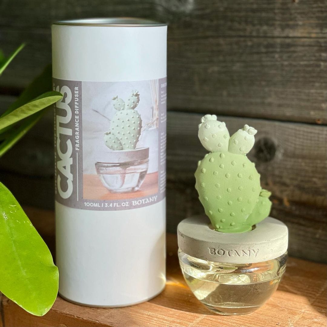 DULTON ONLINE SHOP | CACTUS FRAGRANCE DIFFUSER A ELEGANT PEONY(A