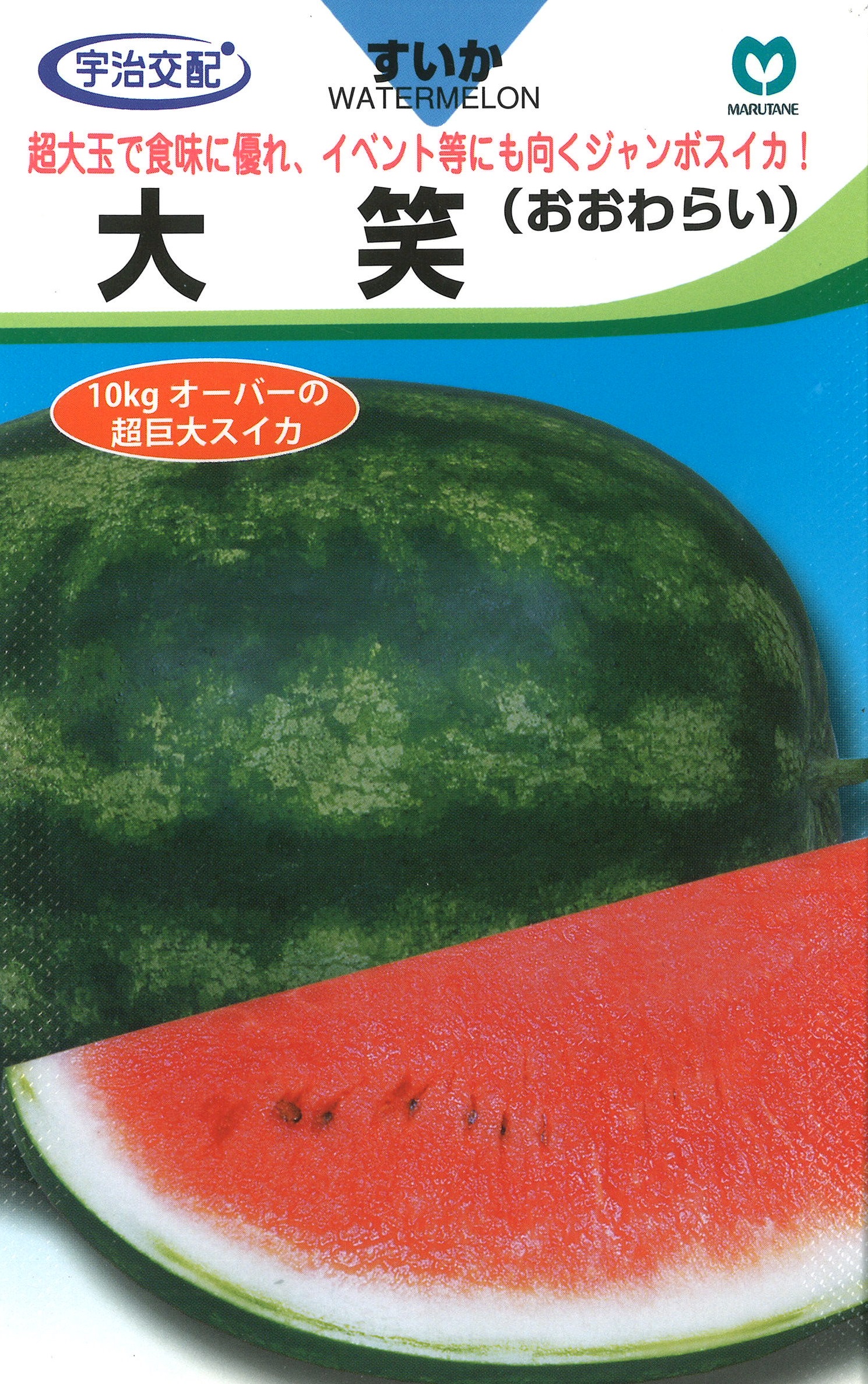 大笑[西瓜]※2025年12月中旬以降の入荷予定 - e-種や｜国内最大級の野菜
