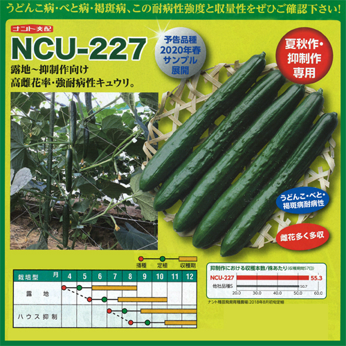 NCU-227[胡瓜] - e-種や｜国内最大級の野菜種・花種・苗・農業資材の販売店