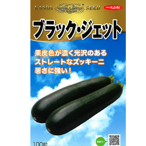 ブラック・ジェット[ズッキーニ] - e-種や｜国内最大級の野菜種・花種