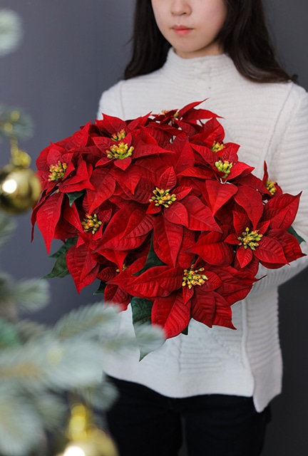 環境に配慮したクリスマスディスプレイをお探しの方に。 東京堂SDGs