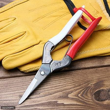 早瀬工業公式】芽切りバサミ／岡恒 NO.304 – 早瀬工業公式ホームページ