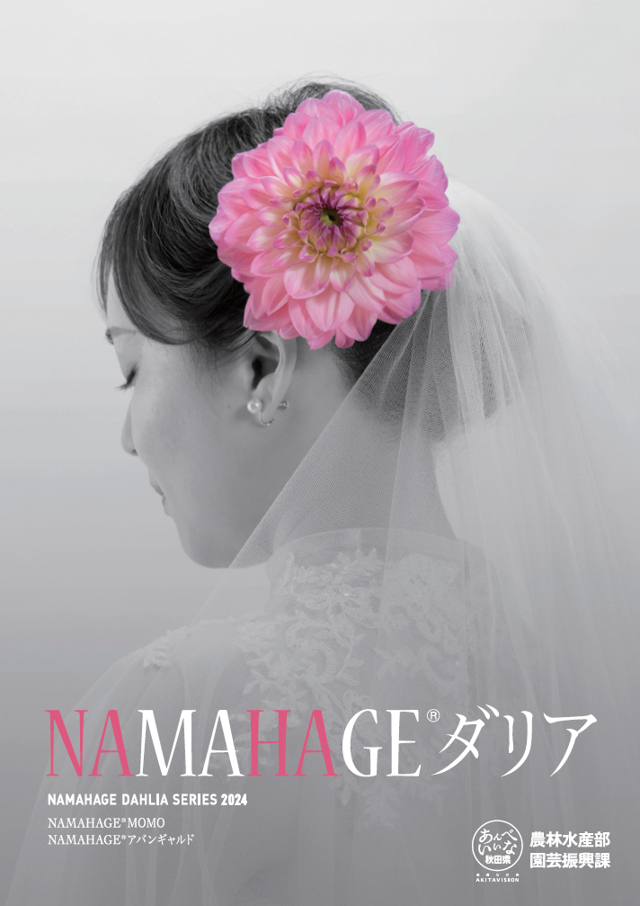 NAMAHAGEⓇダリア」特集（秋田地域） ｜ 秋田県農林水産情報こまち