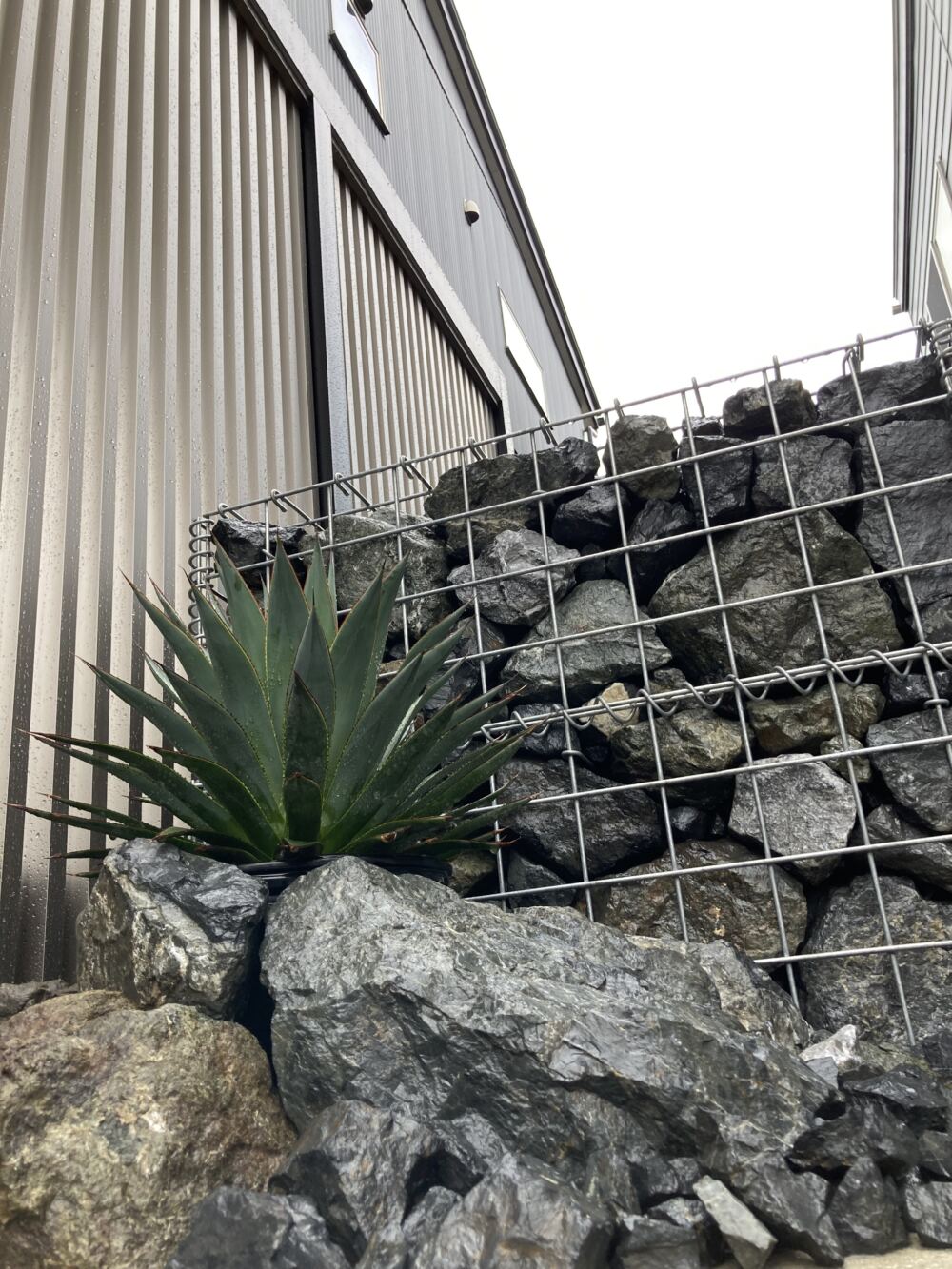 新潟市にてドライガーデンの施工させて頂きました！ – お知らせ