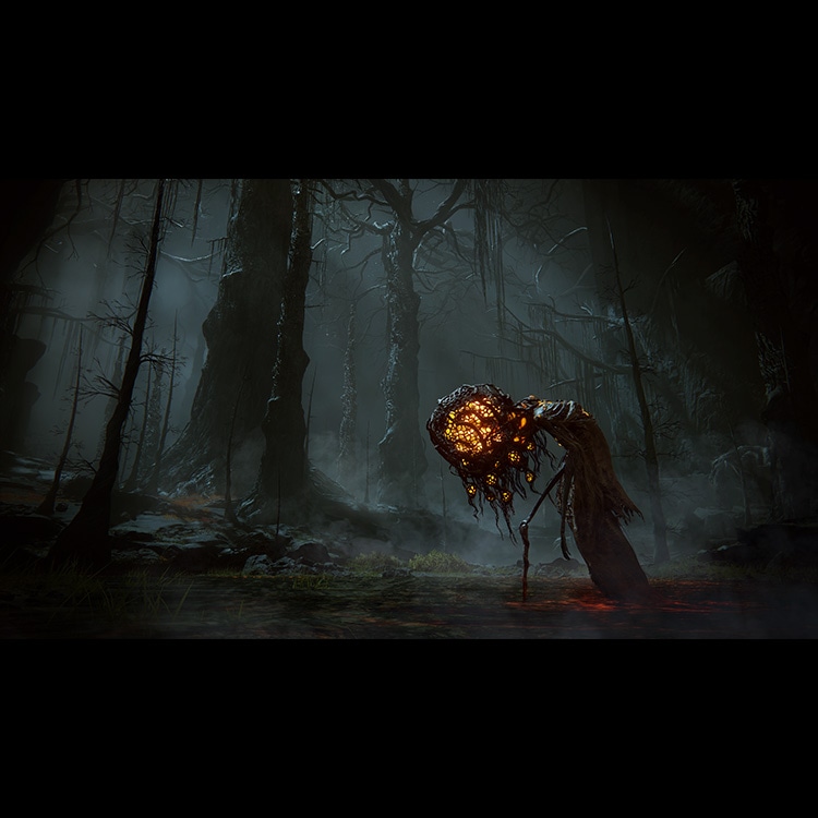 イーカプコン |【PS5】ELDEN RING SHADOW OF THE ERDTREE コレクターズ