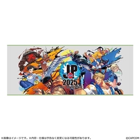 イーカプコン |ストリートファイターリーグ: Pro-JP 2025 フェイス