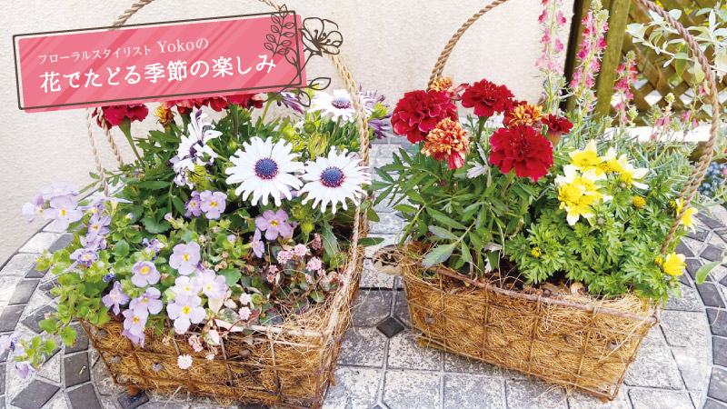 カゴを使ったナチュラルな寄せ植え｜楽しい＆ためになる読み物コラム