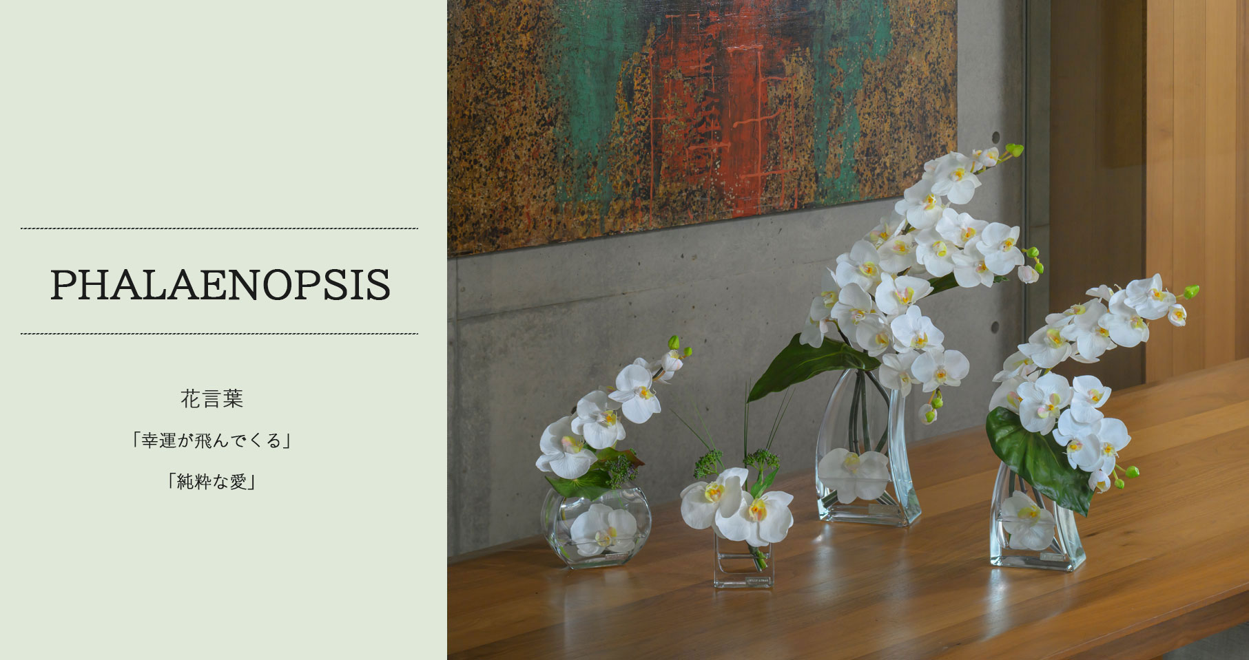 ファレノプシス(胡蝶蘭)のアーティフィシャルフラワー通販｜エミリオ