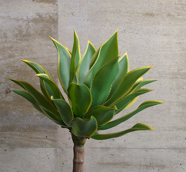 アガベ(トール) アーティフィシャルグリーン 観葉植物 インテリア