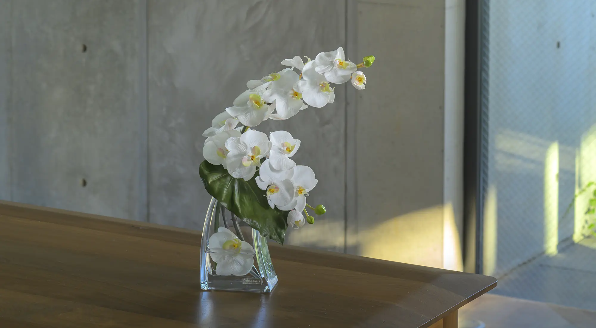 胡蝶蘭(ファレノプシスL) アーティフィシャルフラワー ギフト