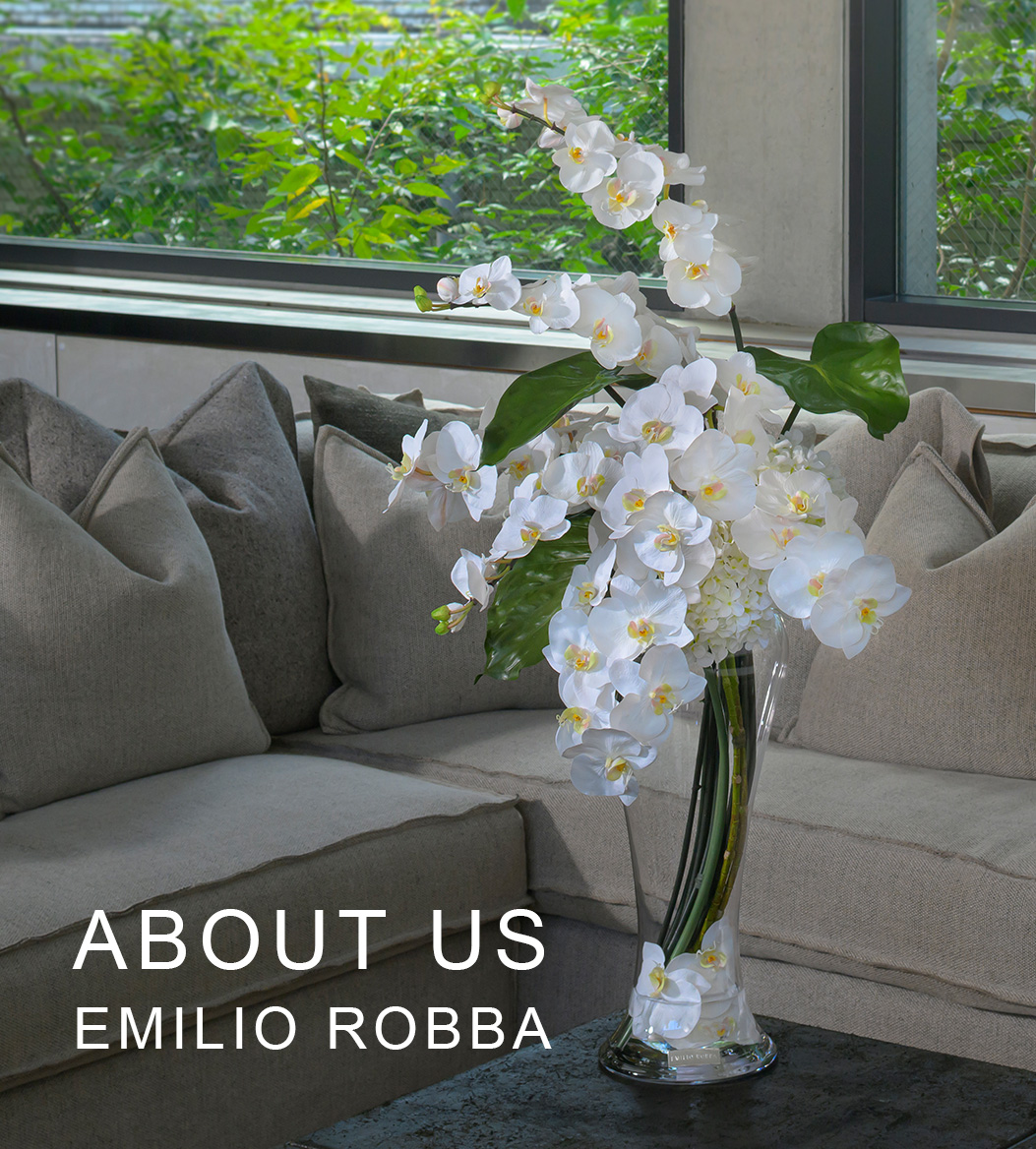 ファレノプシス3XL 胡蝶蘭 高品質 ギフト プレゼント お祝い アーティ