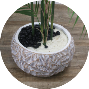 観葉植物 アーティフィシャルグリーン ギャザリング カラテア ギフト