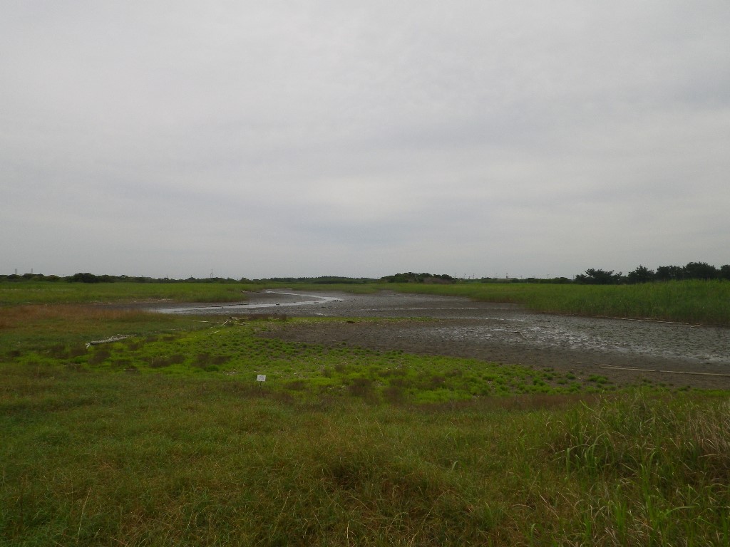 環境省_「重要湿地」の詳細情報（東京湾の干潟・浅瀬）