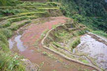 環境省_里なび | 海外の保全活用事例検索 アジア 6