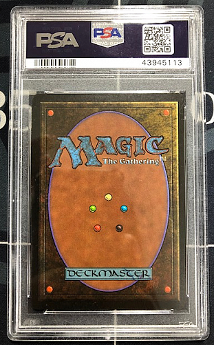 MTG, マジック:ザ・ギャザリング 通販 | ENNDAL GAMES / 【鑑定品