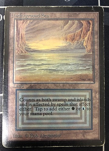 MTG, マジック:ザ・ギャザリング 通販 | ENNDAL GAMES / (LEB-RL