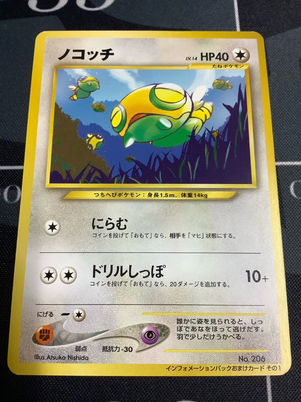 ノコッチ インフォメーションパックおまけカードその1【実物写真