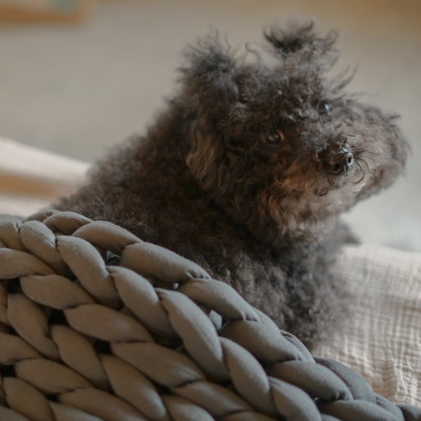 M: 5kg ] ENBRY ウェイテッドブランケット ENBRY Embraceable You