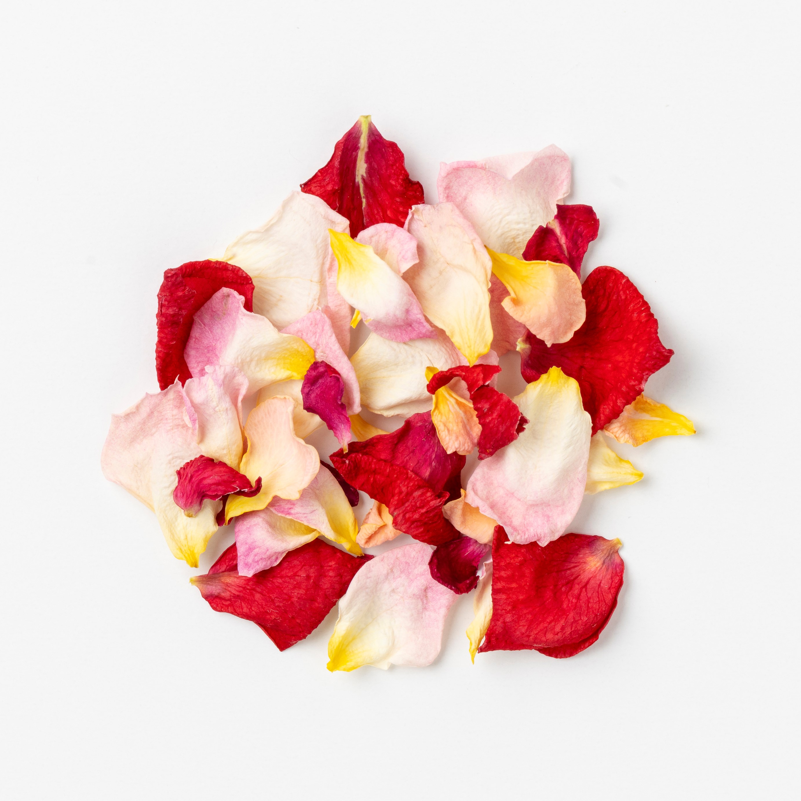 ドライ]ミニバラ花びらMIX/エディブルフラワー / EatHana