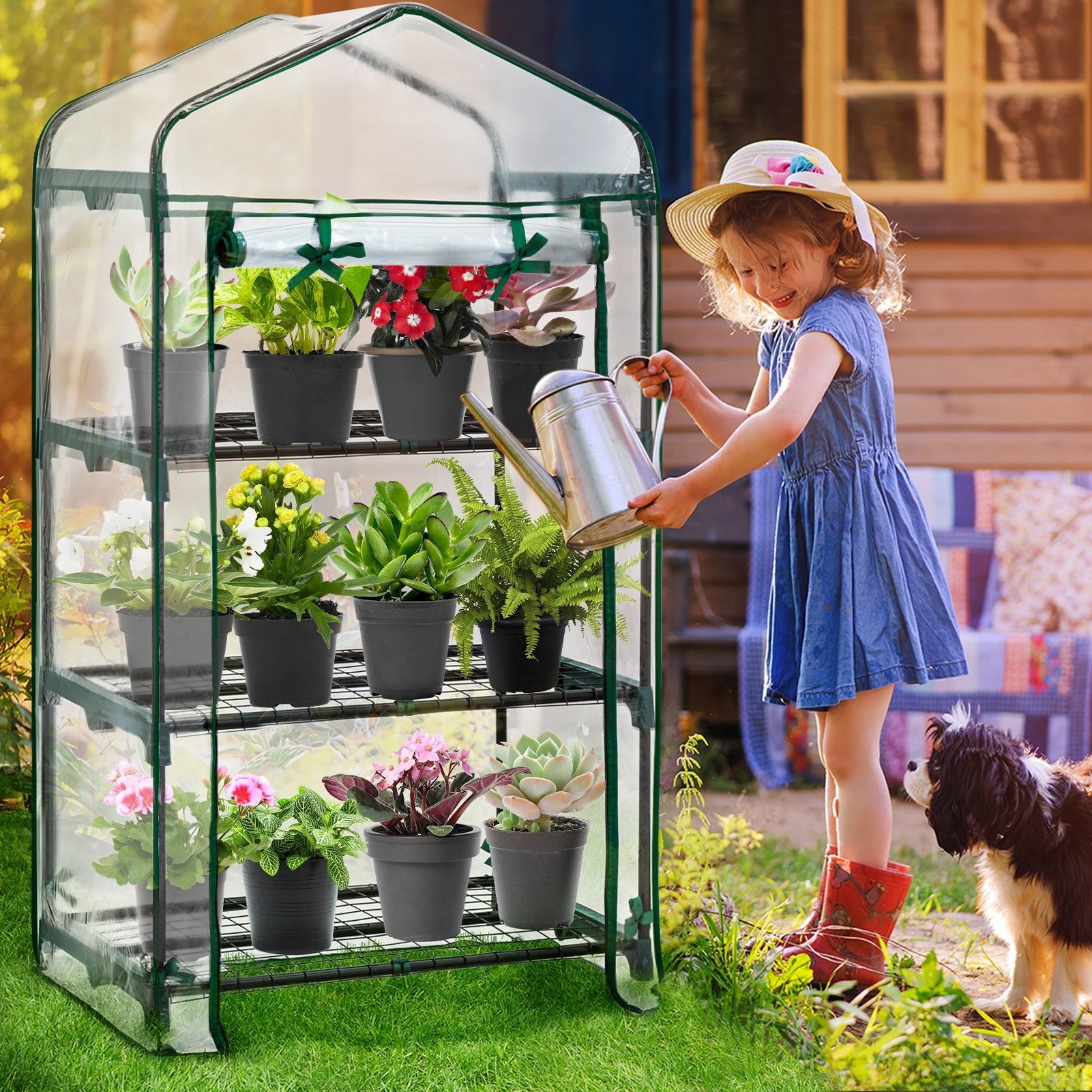 Mini Greenhouse 27
