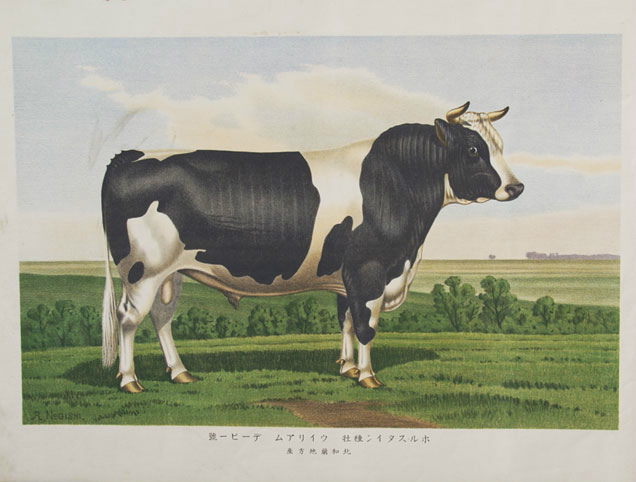 石版画「牛の図」6枚 - えびな書店オンラインギャラリー