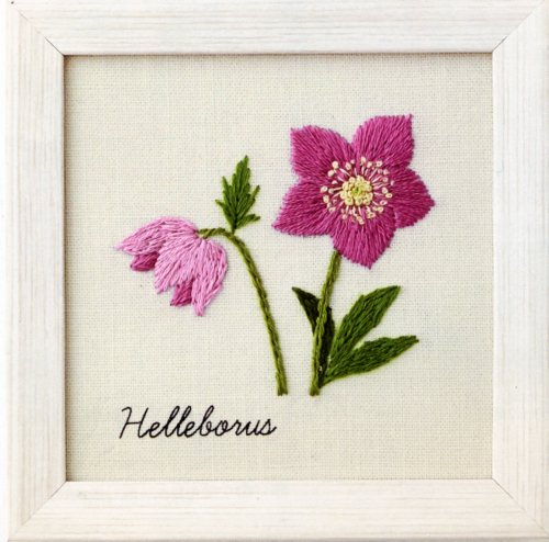 9012] COSMO 青木和子 12か月の植物手帖 刺しゅうキット フレーム付き