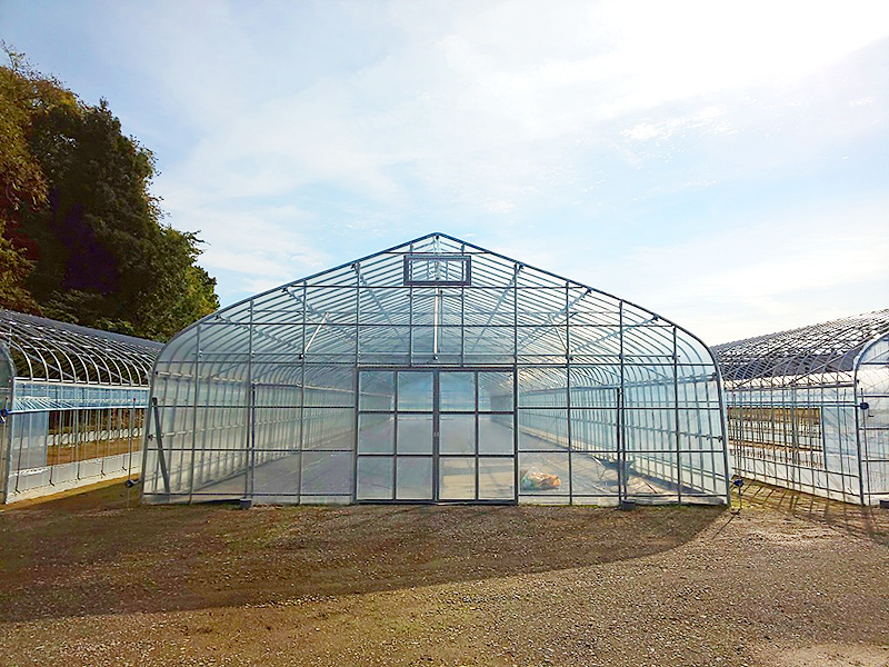 ビニールハウス｜48.6φハウス｜株式会社江口屋｜ビニールハウス、農業