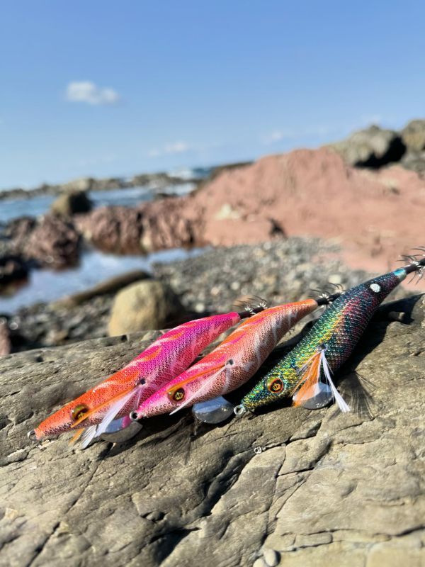 WILDCHASE 3.5号シャローtune / モンスターピンク[特注:EGI MANIACS