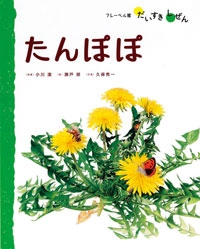 フレーベル館だいすきしぜん（しょくぶつ） たんぽぽ | 瀬戸 照,小川