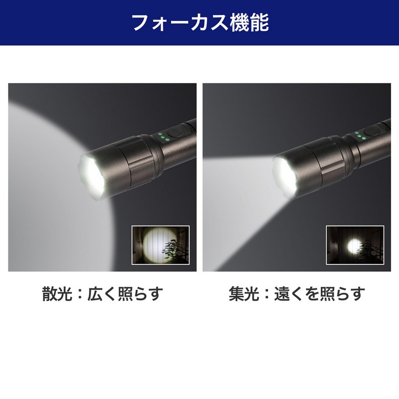 エルパ(ELPA) LEDアルミハンドライト 250ルーメン 単3形乾電池2本 集光
