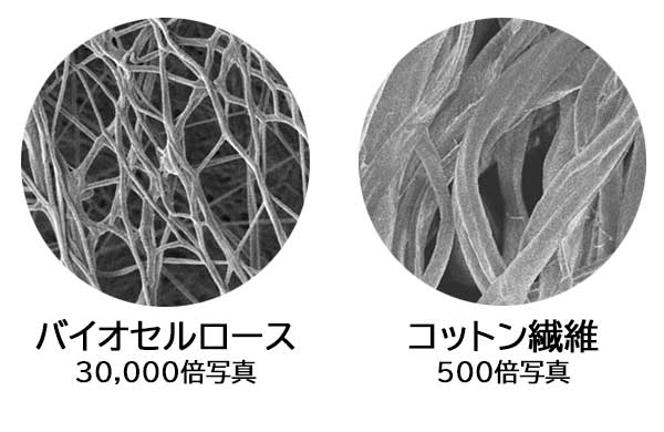 新商品】サステナブル原料×発酵の恵み | エルセラーン化粧品