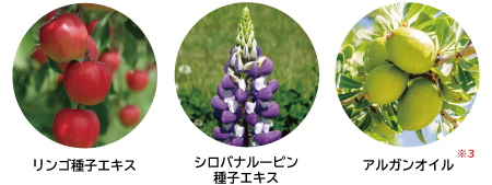 ネオベジータ シリーズ｜エルセラーン化粧品株式会社