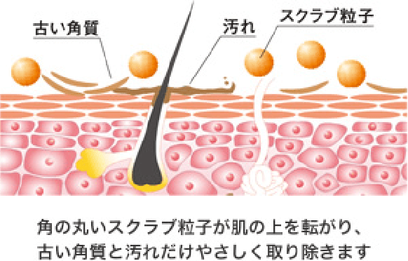 フェーシャルスクラブクリーム｜商品情報｜株式会社エリナ