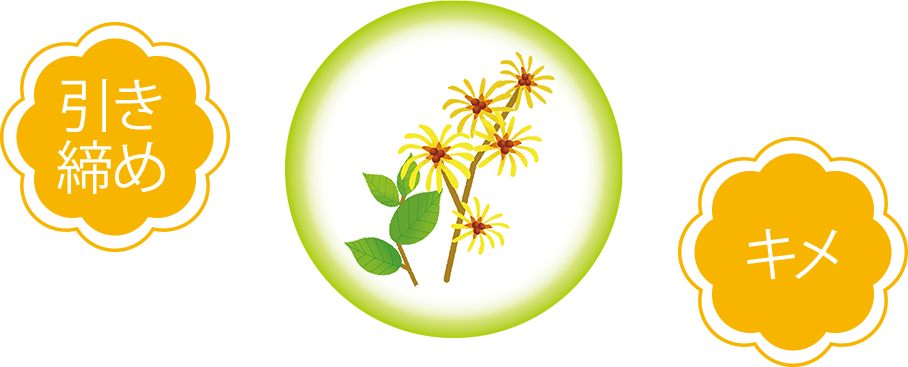 トーナー&フレッシュナー｜商品情報｜株式会社エリナ