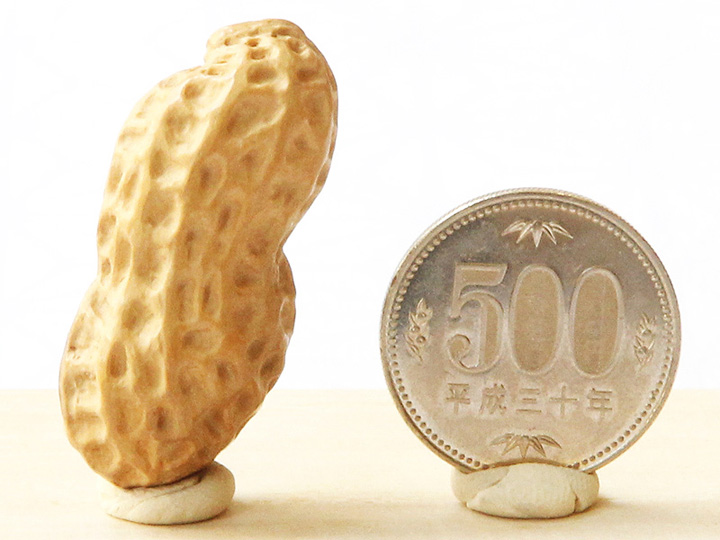 黄楊根付 落花生 A【岡壱名入り】【2018年06月06日公開】｜京都の着物