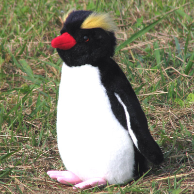 ロックホッパーペンギン | ぬいぐるみ オーダーメイド EUREKA