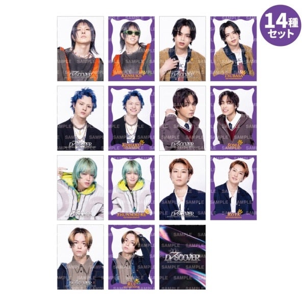 EXILE TRIBE STATION ONLINE STORE｜D7SCOVER フォトカード14種セット