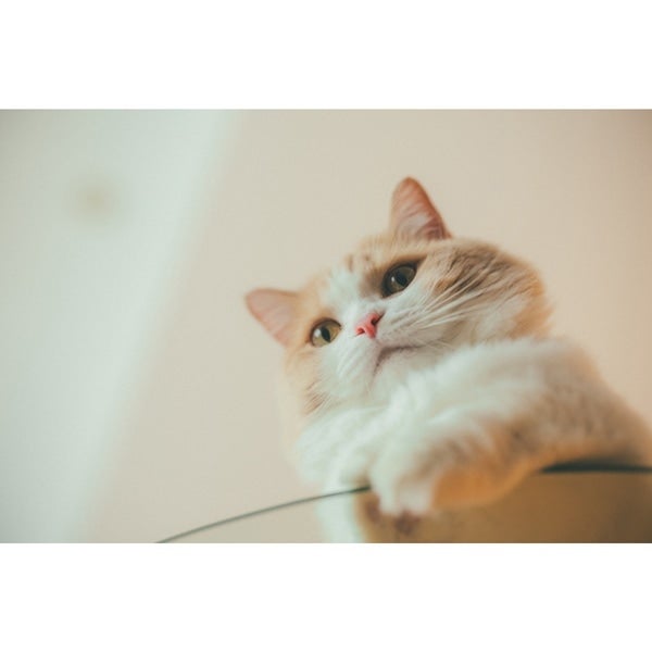 EXILE TRIBE STATION ONLINE STORE｜樹 & マース フォトブック「Mars」