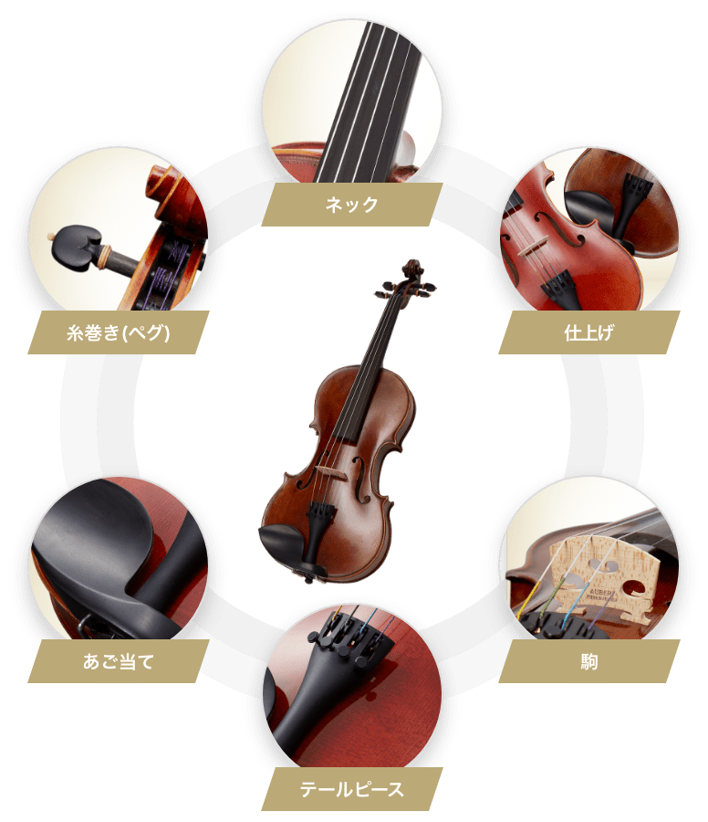 バイオリン Bella Armonia ｜大人の音楽教室 EYS音楽教室 無料体験