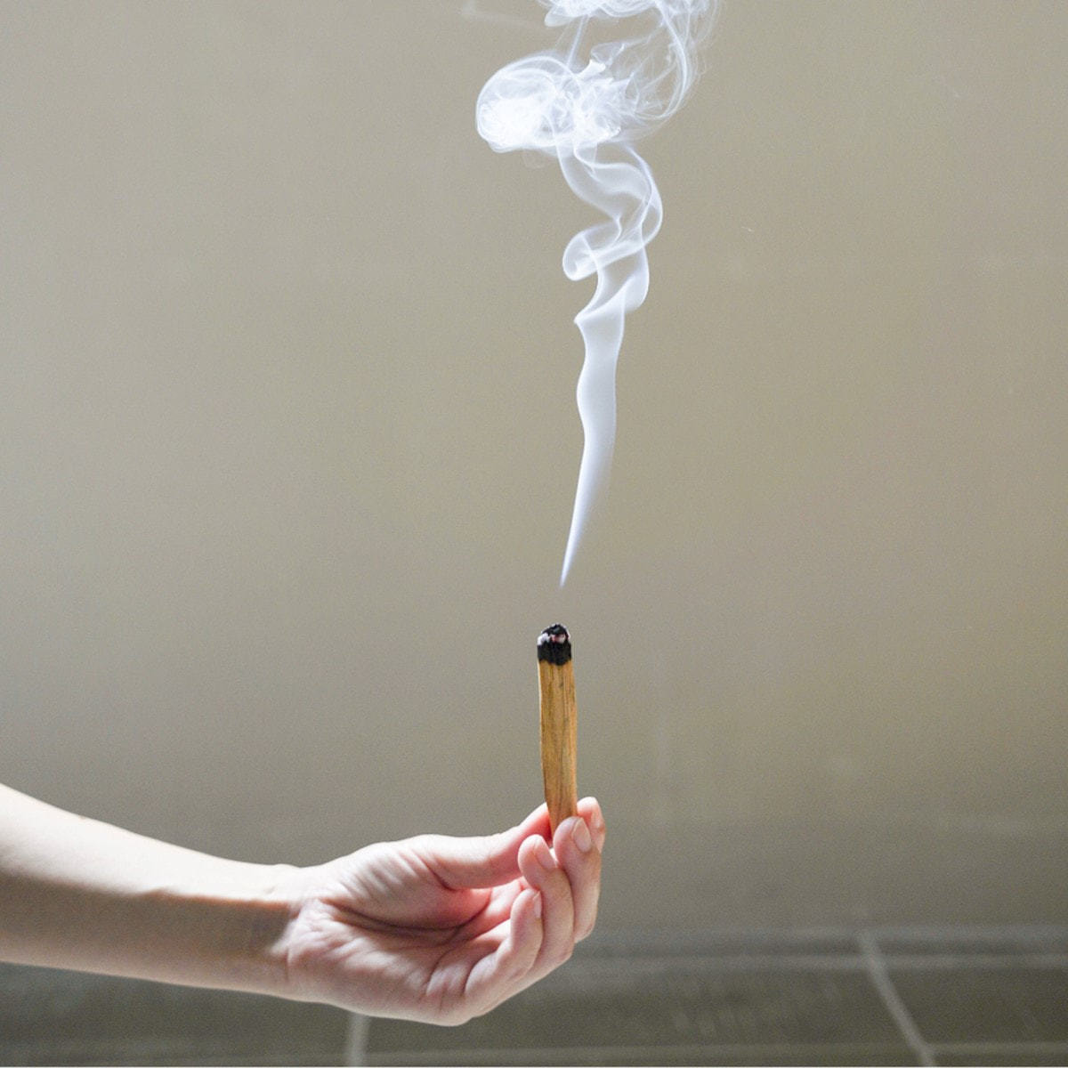 生活の木 パロサント スティック 5本入の通販・卸売り | アイラッシュ