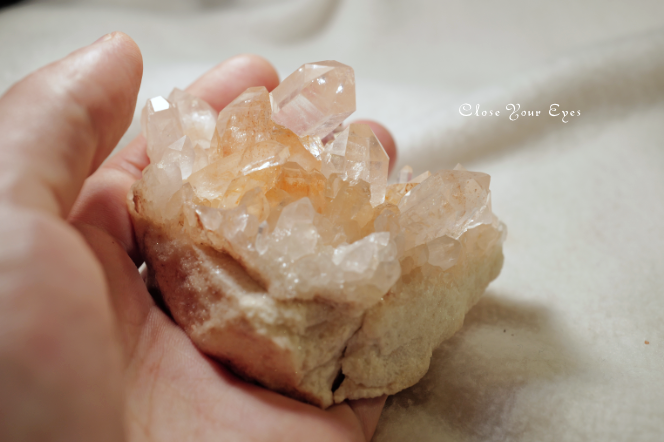 ぽんぽん♪ ヒマラヤクラスター A1168、A1244、A1185 ぽんぽん