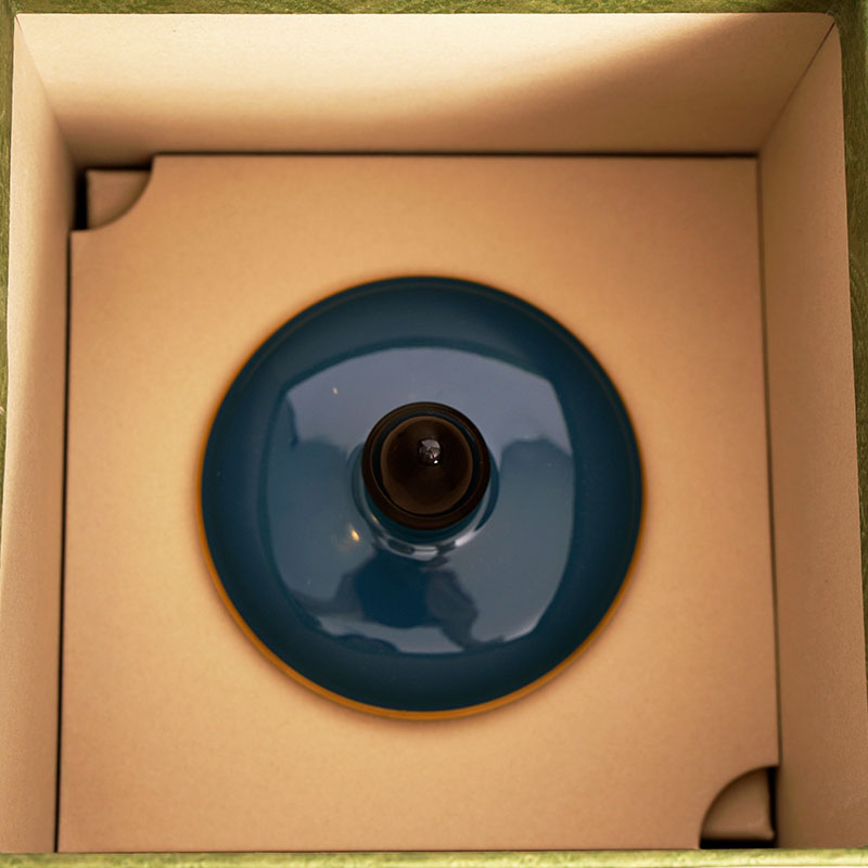 NEW $330 GUCCI Teal BUTTERFLY ANIMALIUM Richard Ginori 1735 Fumus