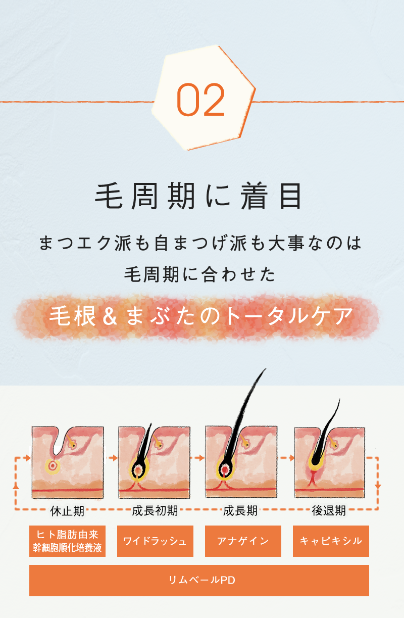 正規販売店】エクソソーム配合！日本製のまつげ美容液 ラッシュ