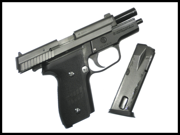 タナカワークス: モデルガン本体 SIG P229 フレームHW EVO2の通販情報