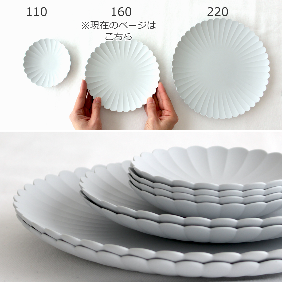 1616 arita japan TY Palace 160 パレス 有田焼 パレスプレート 160mm